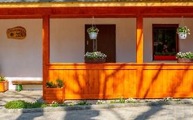 Apartament Lesny
